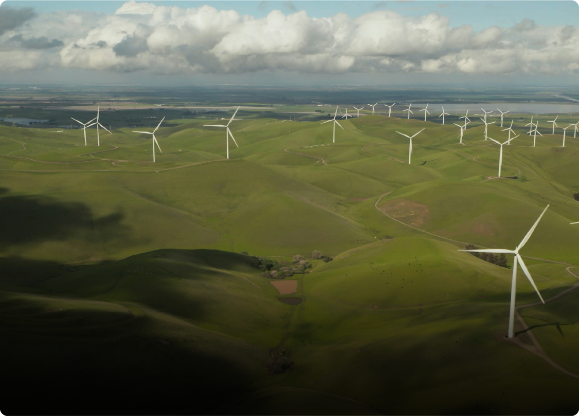 Sustainability as a core business strategy.